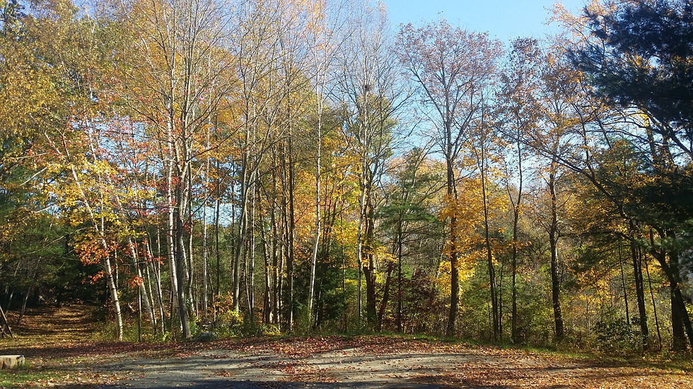 20161023_151359.jpg