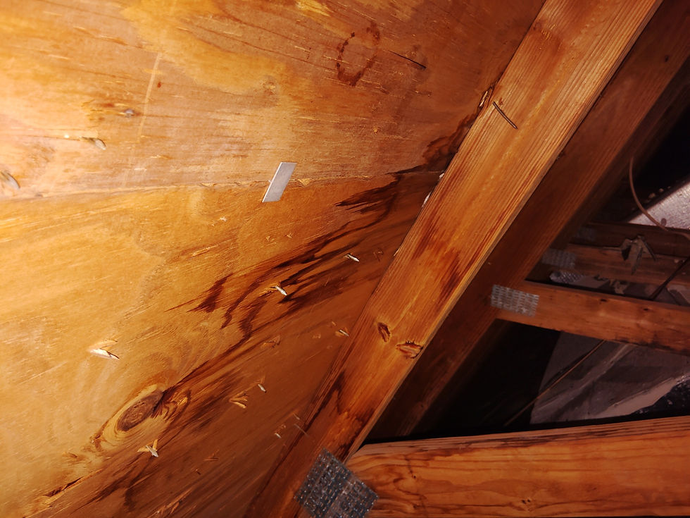 attic inspection wet decking RoofSource Inc.
