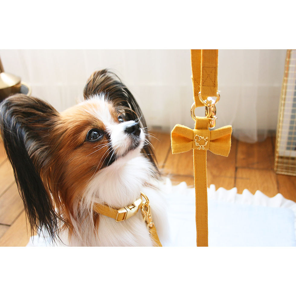 Miniature : Laisse en lin