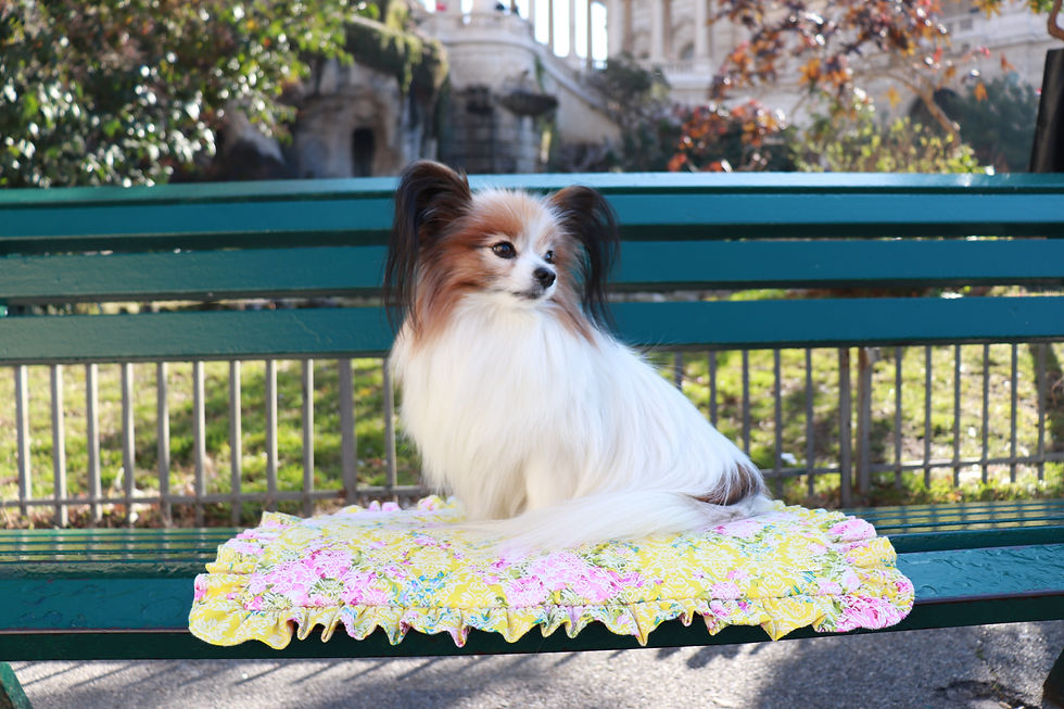 Miniature : Tapis jacquard botanique