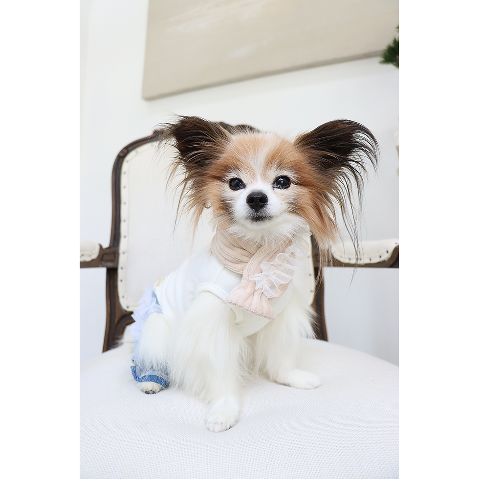 Miniature : Echarpe en jersey avec tulle