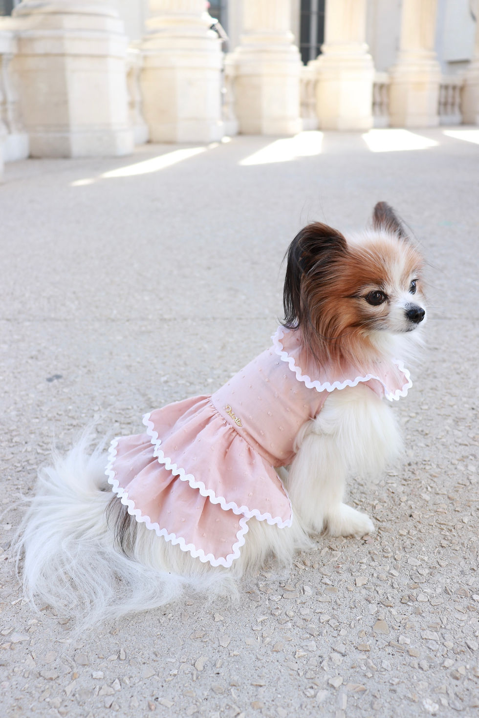 Miniature : Robe à pois pastel