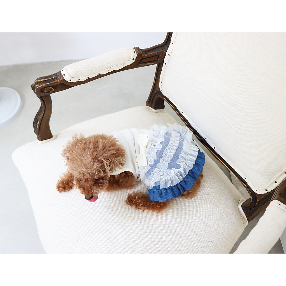 Miniature : Robe avec tulle superposé sur jupe en jean