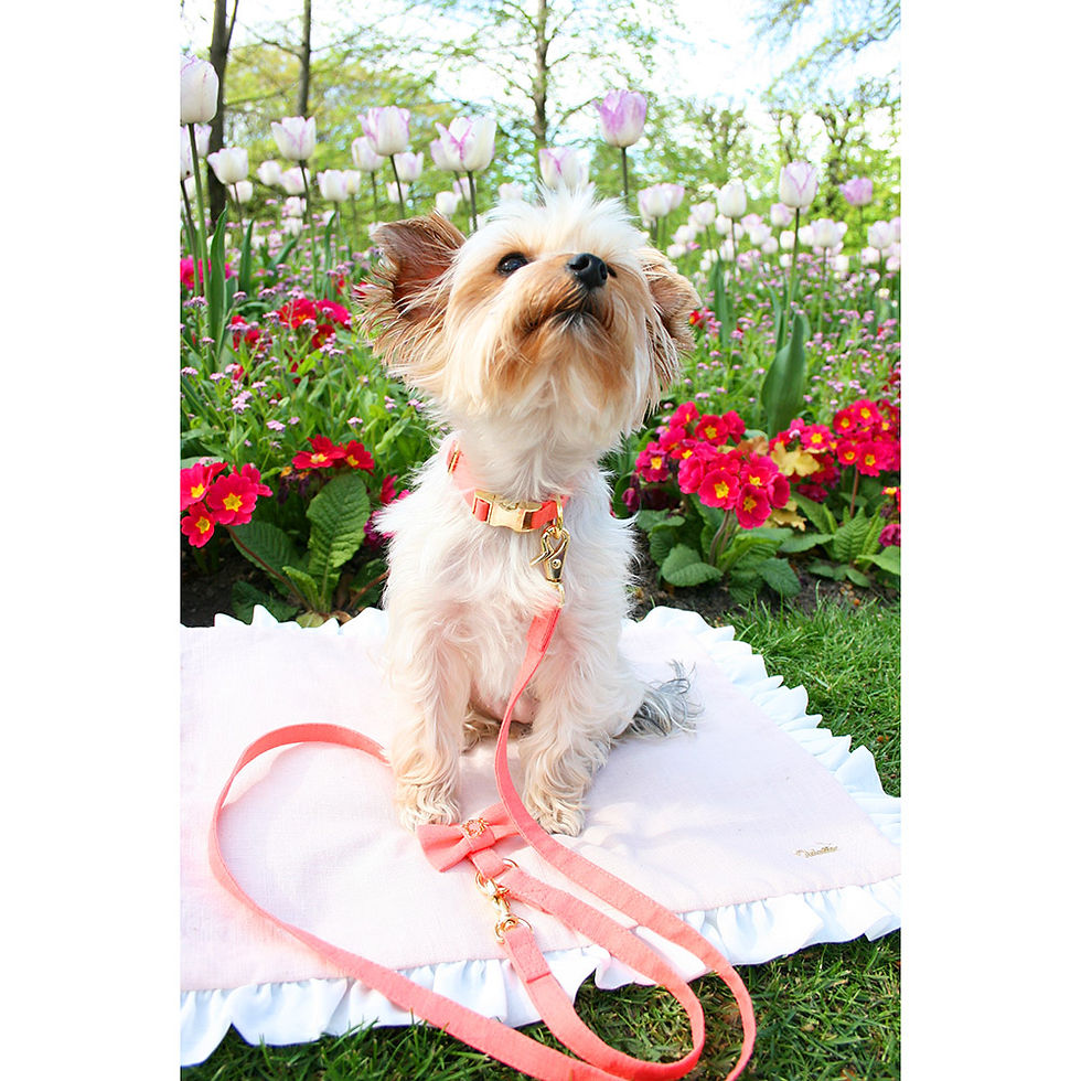 Miniature : Tapis en lin