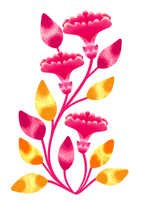 IMG_3983.PNG