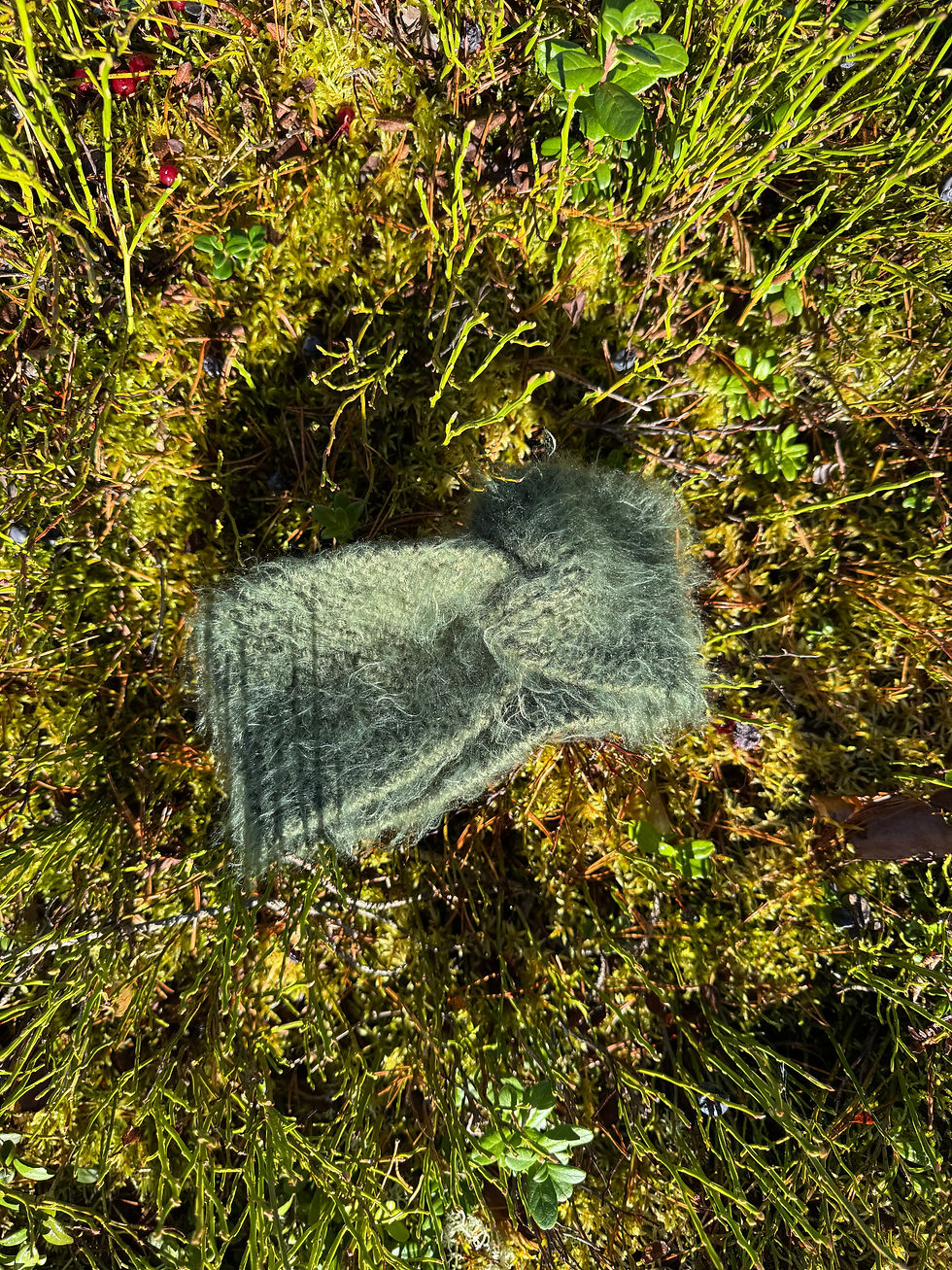 Miniatyrbild: Pannbandet Maj