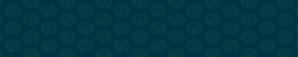 TBB_Icon Pattern_1920x1080_Navy_edited_e