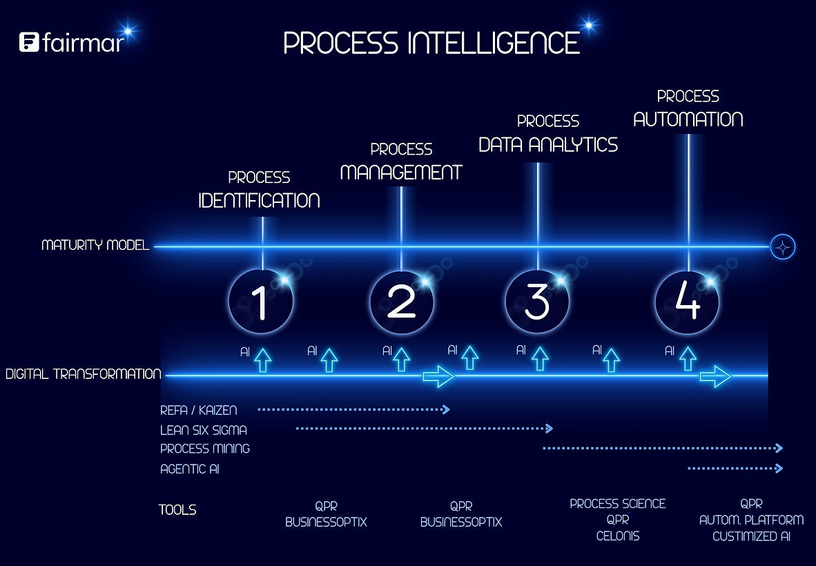 Maturity Model 2 (36 x 21 cm) (36 x 25 cm).jpg