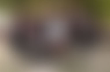 Tournament of Visegrád Results!