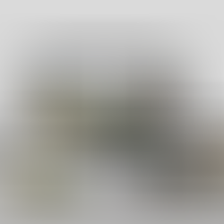 Why Regional Businesses Need More Than a DIY Website | KGMG Creative, Macedon Ranges