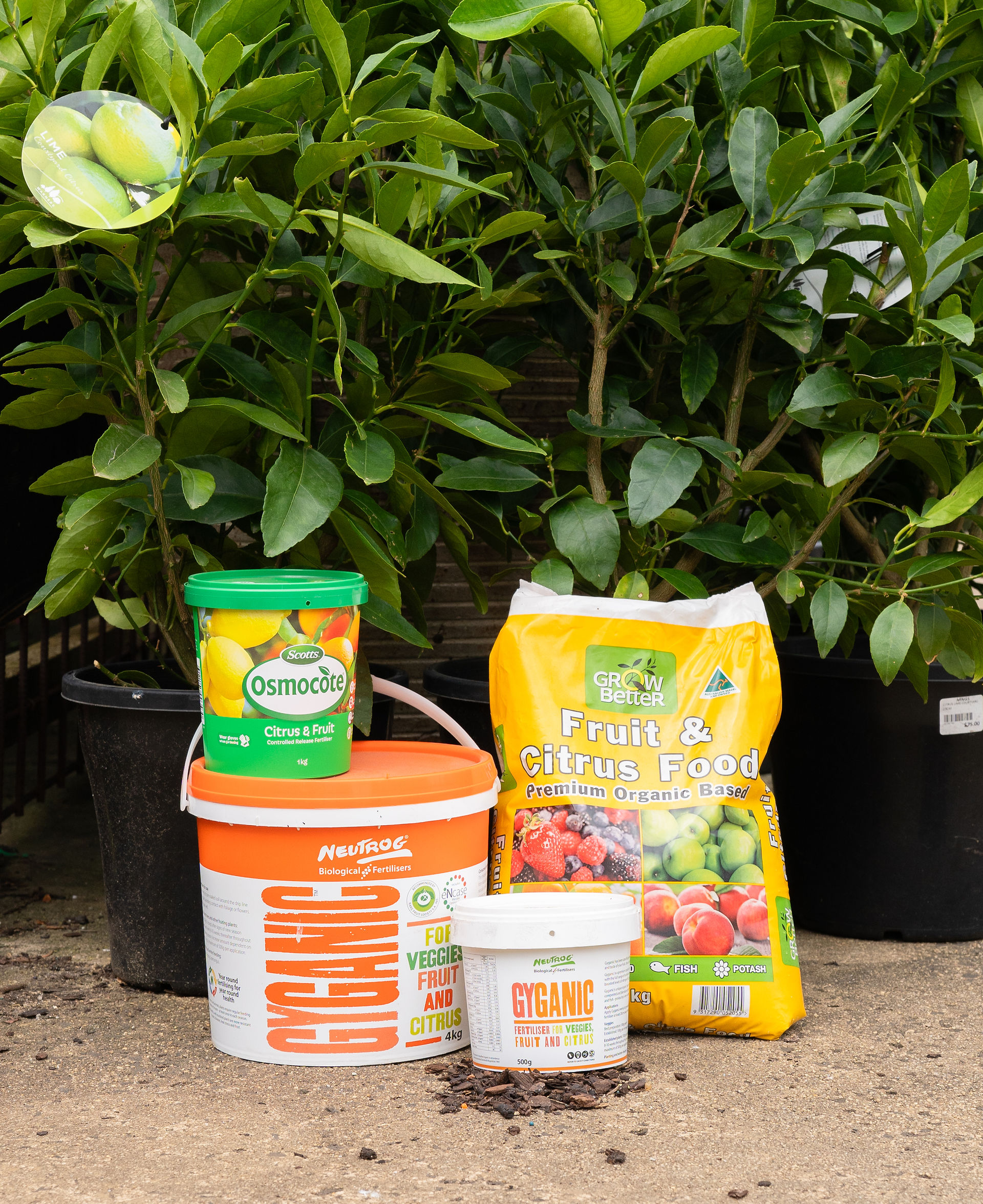 How to Find the Best Spots to Photograph in Any Space | KGMG Creative, Macedon Ranges | Gardening products such as fertiliser and mulch photographed at Macedon Nursery and Gardening Supplies