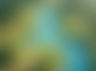 Interactive Storytelling Guide: Techniques for Young Readers