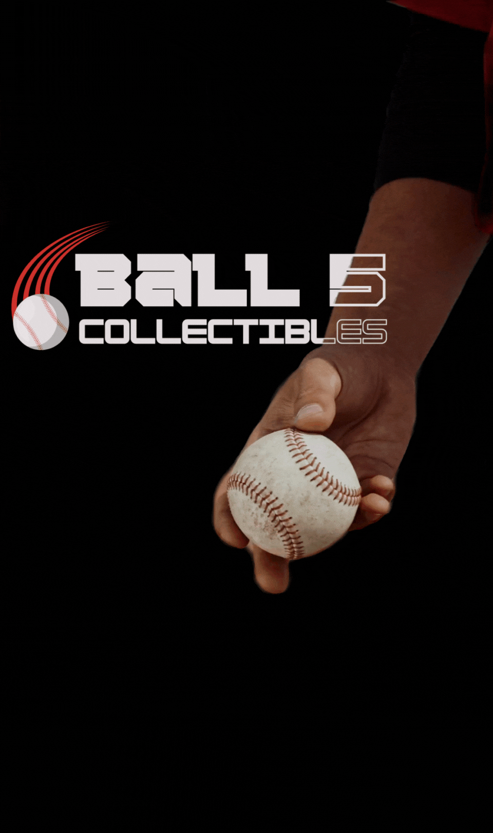 Draft 5 - 428 - B5C Brand & Logos.gif