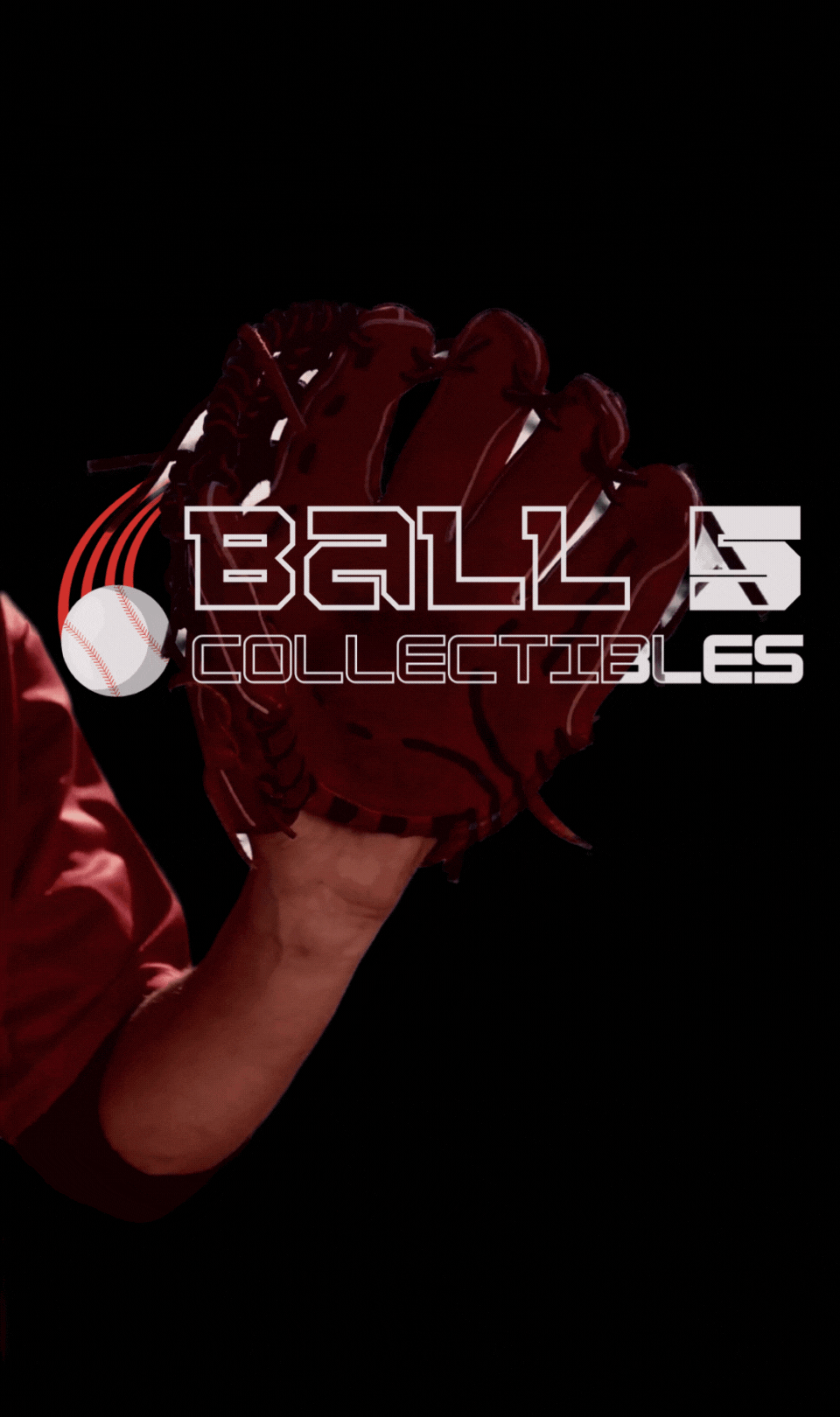 Draft 5 - 428 - B5C Brand & Logos (1).gif