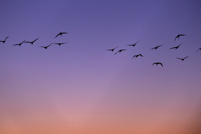 mes couleurs de camargue - 4 sur 17.jpeg