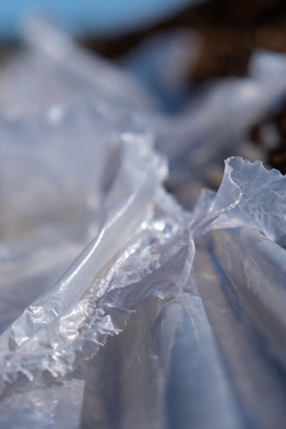 plastique culture - 2 sur 10.jpeg