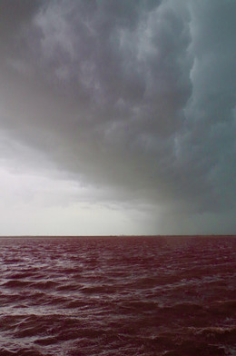 mes couleurs de camargue - 2 sur 17.jpeg
