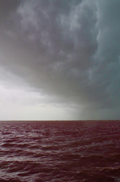 mes couleurs de camargue - 2 sur 17.jpeg