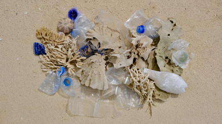 Jeux de plage - 14 sur 18.jpeg