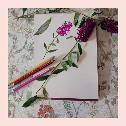 Dessin de fleur au pastel sec