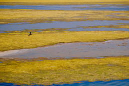 mes couleurs de camargue - 9 sur 17.jpeg