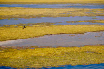mes couleurs de camargue - 9 sur 17.jpeg