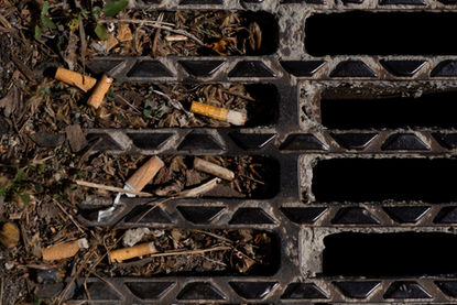 Jour de marché Arles - 3 sur 13.jpeg