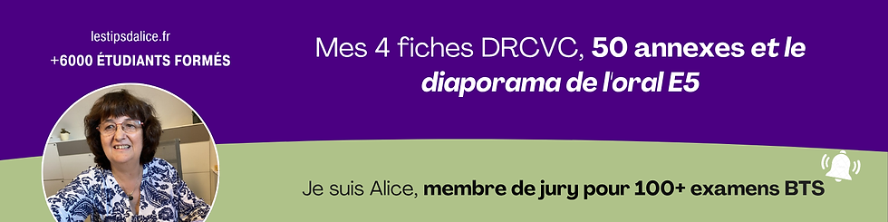 Les 4 fiches DRCVC, 50 annexes et le diaporama de l'oral E5 d'Alice, membre du jury