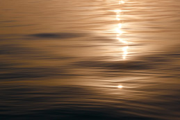 mes couleurs de camargue - 14 sur 17.jpeg