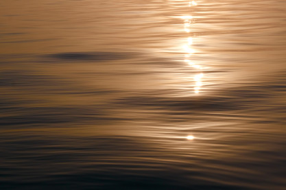 mes couleurs de camargue - 14 sur 17.jpeg
