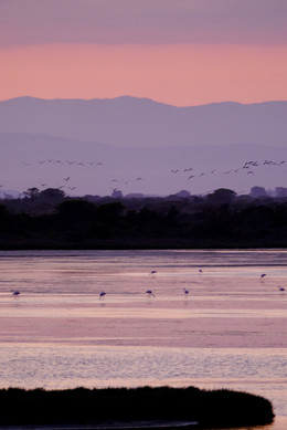 mes couleurs de camargue - 3 sur 17.jpeg