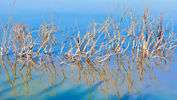 mes couleurs de camargue - 12 sur 17.jpeg