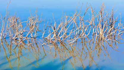 mes couleurs de camargue - 12 sur 17.jpeg