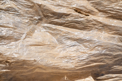 plastique culture - 6 sur 10.jpeg