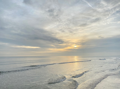 mes couleurs de camargue - 11 sur 17.jpeg
