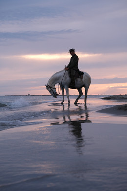 mes couleurs de camargue - 16 sur 17.jpeg