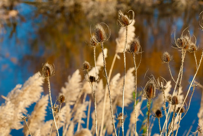 mes couleurs de camargue - 13 sur 17.jpeg
