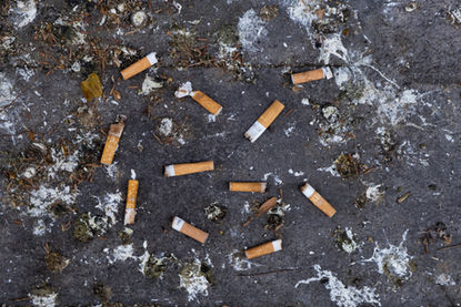 Jour de marché Arles - 4 sur 13.jpeg