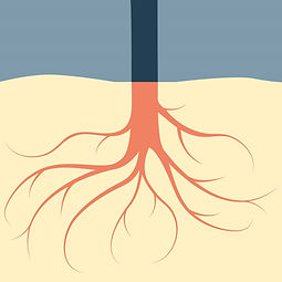 arbre.jpg