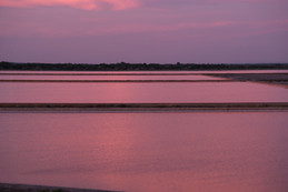 mes couleurs de camargue - 15 sur 17.jpeg
