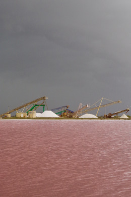 mes couleurs de camargue - 1 sur 17.jpeg