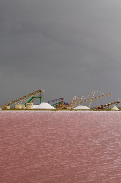 mes couleurs de camargue - 1 sur 17.jpeg