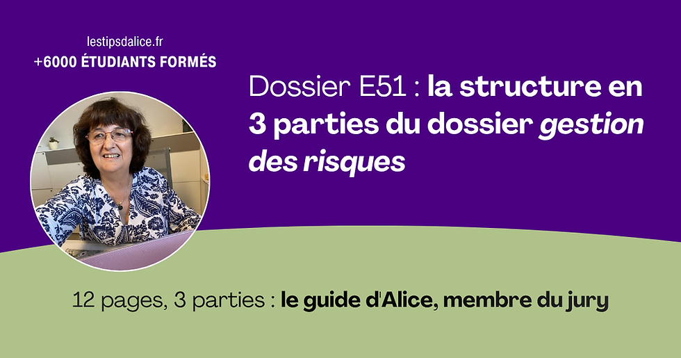 Dossier E51 gestion des risques BTS GPME : la structure en 3 parties, le guide d'Alice, membre du jury