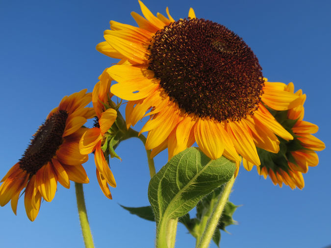 RIKXECOM art gallery