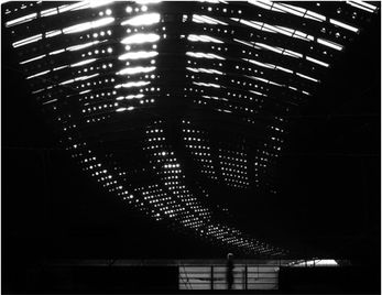 The cathedralic roofing of York station hangs over a penitent passenger as services are hampered by Storm Éowyn.