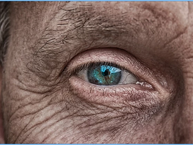 Research our eyes are in control of brain plasticity and therefore our changes we want to apply