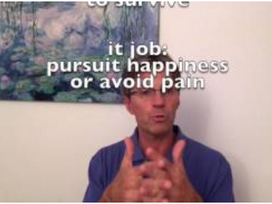 The Heart, the Head and the Gut mind, the art of self-development and intuition