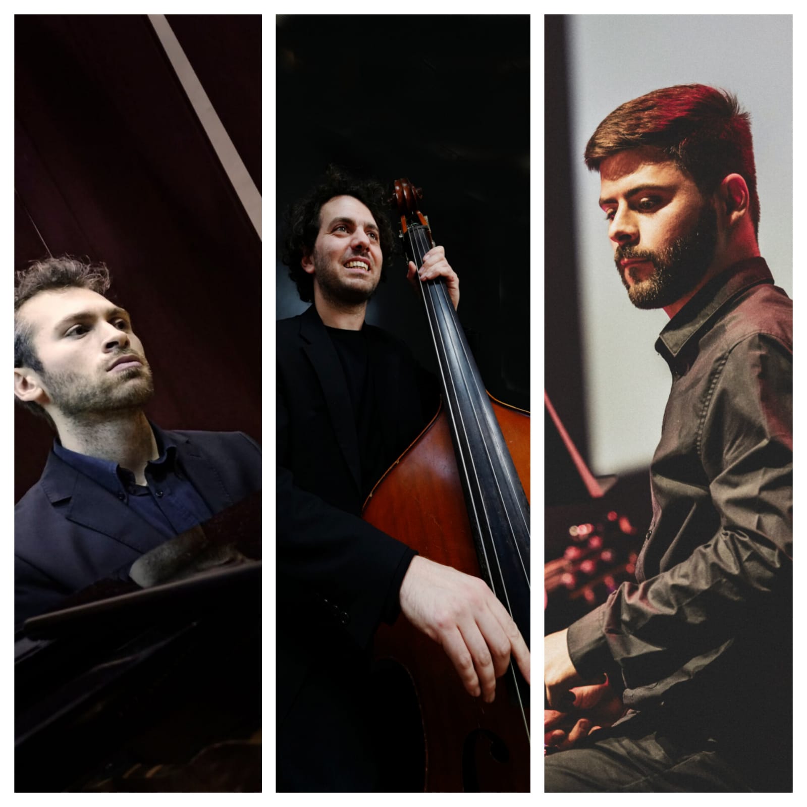 FOTO Stride Sounds Trio.jpeg