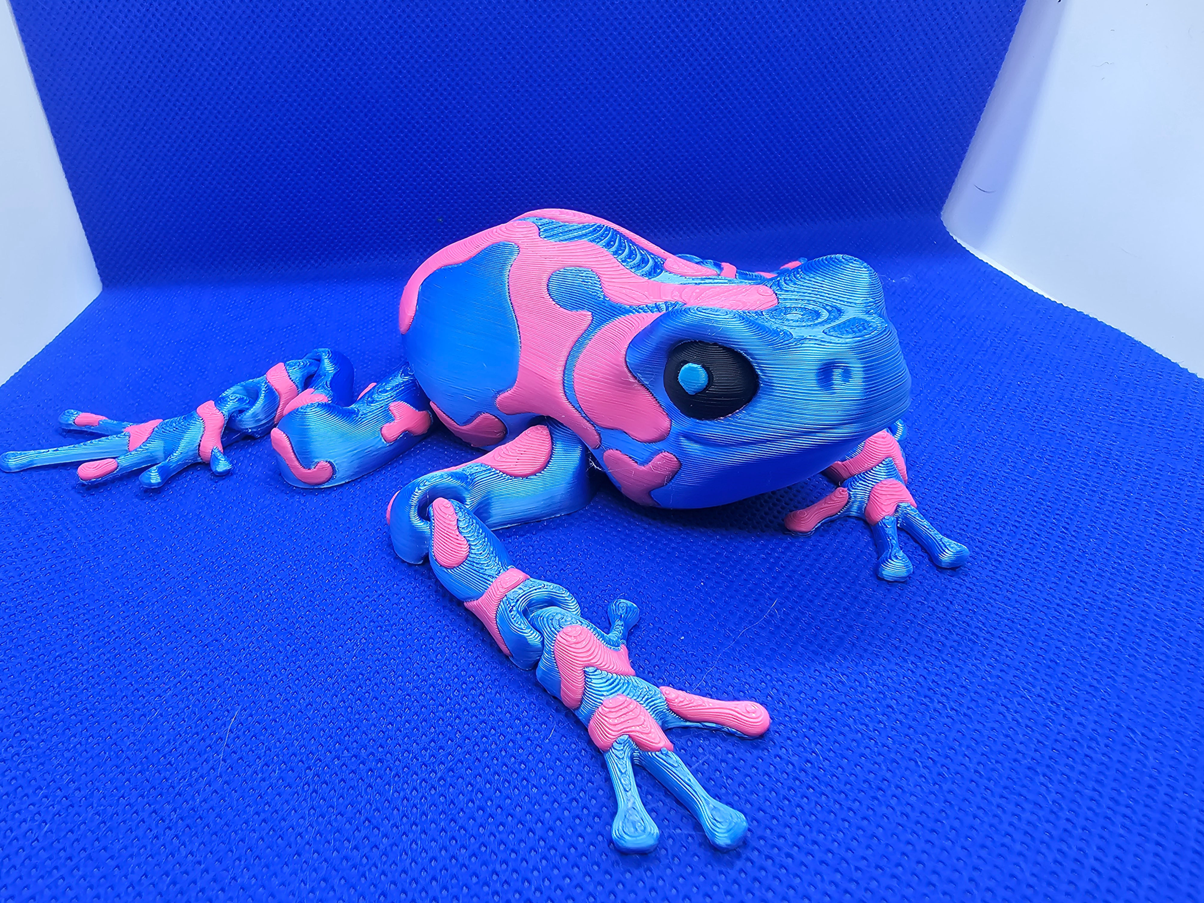 Poison dart frog 