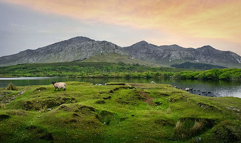 derryclare-natural-reserve-in-connemara-county-ga-2025-02-11-05-54-46-utc.jpg